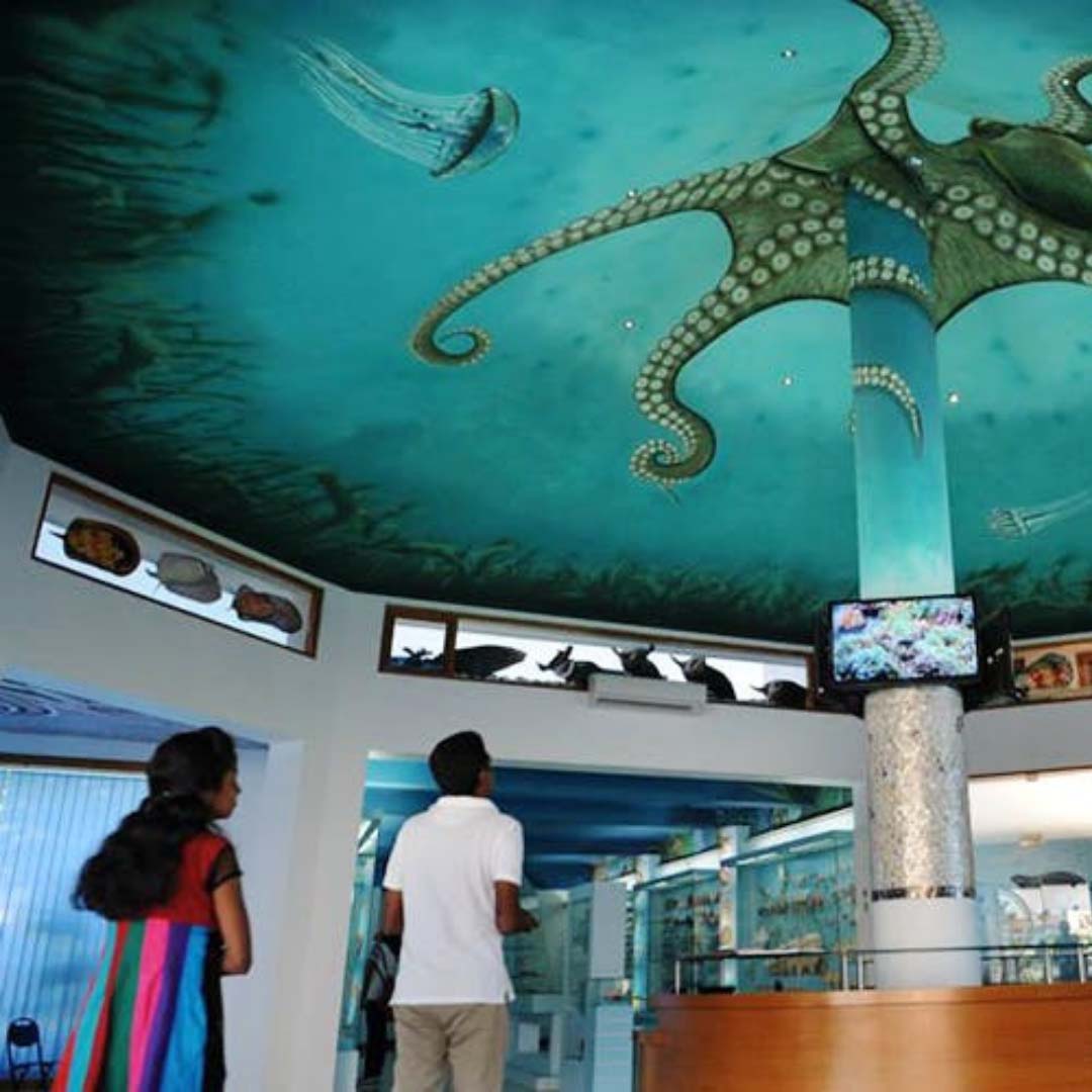 Affordable one-way cabs Dindigul